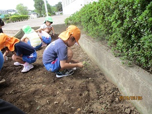 IMG_5656 IMG_5656