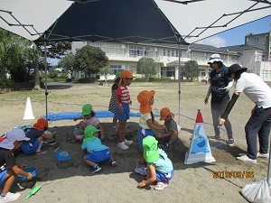 IMG_5669 IMG_5669