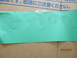 IMG_5663 IMG_5663