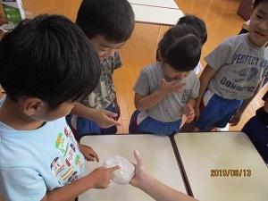 IMG_5746 IMG_5746