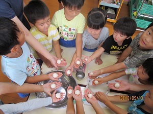 IMG_5751 IMG_5751