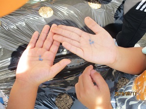 IMG_5791 IMG_5791