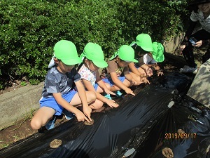 IMG_5792 IMG_5792