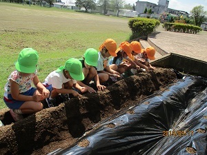 IMG_5794 IMG_5794