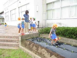 IMG_5896 IMG_5896
