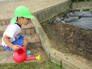 IMG_5897 IMG_5897