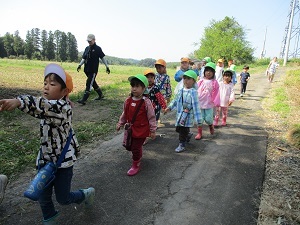 IMG_6036 IMG_6036