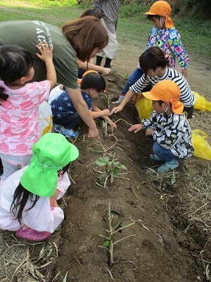 IMG_6038 IMG_6038