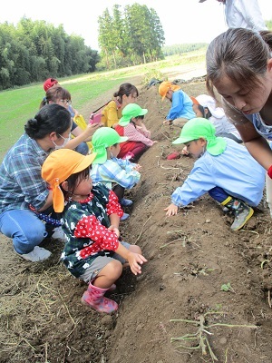 IMG_6039 IMG_6039