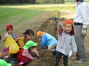 IMG_6040 IMG_6040