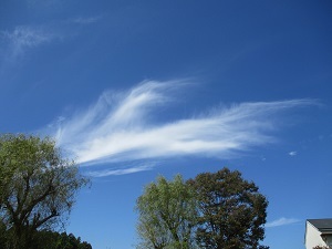 IMG_6051 IMG_6051