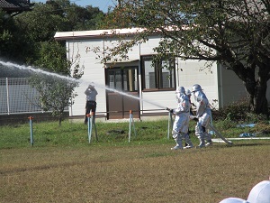 IMG_6191 IMG_6191