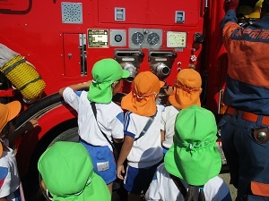 IMG_6215 IMG_6215
