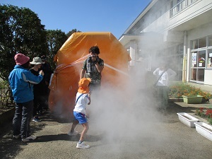 IMG_6229 IMG_6229