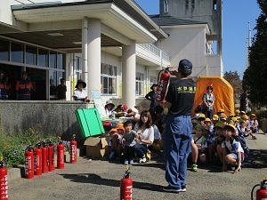 IMG_6235 IMG_6235