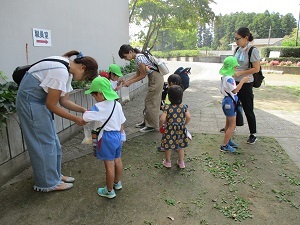 IMG_6267 IMG_6267