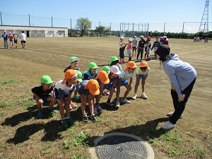 IMG_6288 IMG_6288