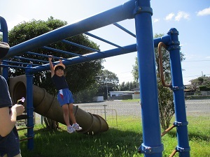 IMG_6321 IMG_6321