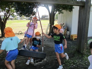 IMG_6325 IMG_6325