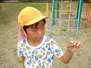 IMG_6340 IMG_6340