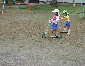 IMG_6342 IMG_6342
