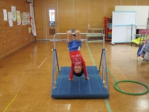 IMG_6347 IMG_6347