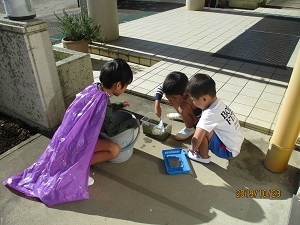 IMG_6408 IMG_6408