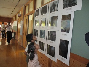IMG_6633 IMG_6633