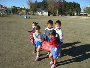 IMG_7231 IMG_7231