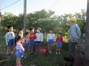 IMG_7232 IMG_7232