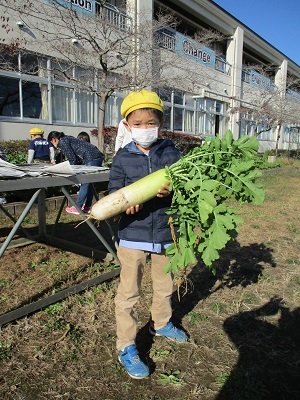 IMG_7297 IMG_7297