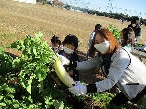 IMG_7304 IMG_7304