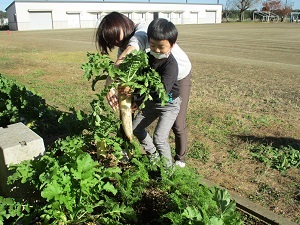 IMG_7310 IMG_7310