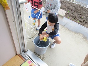 IMG_7313 IMG_7313