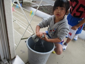 IMG_7314 IMG_7314