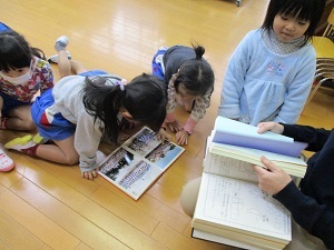 IMG_7318 IMG_7318