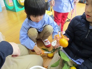 IMG_7352 IMG_7352