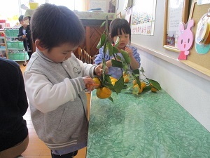 IMG_7354 IMG_7354