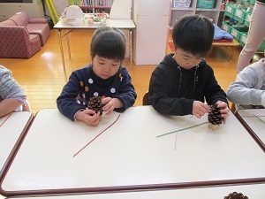 IMG_8137 IMG_8137