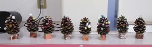 IMG_8149 IMG_8149