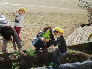 IMG_8320 IMG_8320