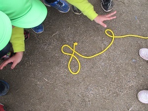 IMG_8845 IMG_8845