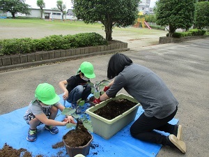 土2 土2