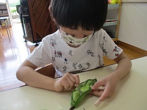 IMG_0059 IMG_0059