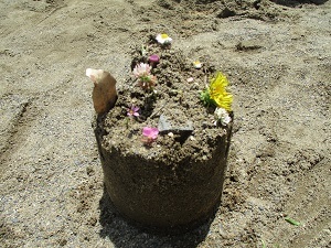 IMG_0063 IMG_0063