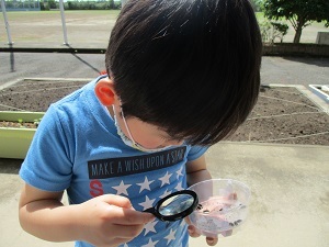 IMG_0052 IMG_0052
