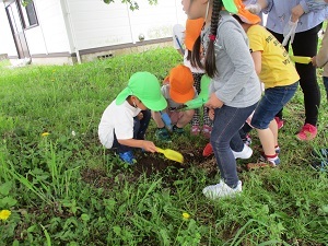 IMG_0090 IMG_0090