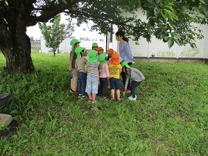 IMG_0091 IMG_0091