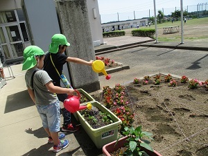 IMG_0151 IMG_0151