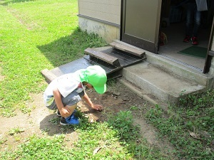 IMG_0155 IMG_0155